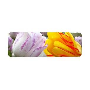 Tulip Love Etiket