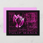 Tulip Mania Briefkaart (Voorkant / Achterkant)