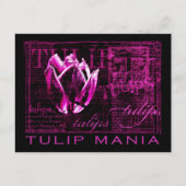 Tulip Mania Briefkaart (Voorkant)