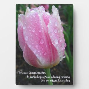 Tulip Memorial Tafelblad Plaque met Ezel Fotoplaat