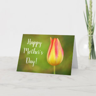 Tulip Moederdag Scripting Kaart