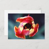 Tulip Notecard Notitiekaartje (Voorkant / Achterkant)