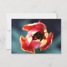 Tulip Notecard