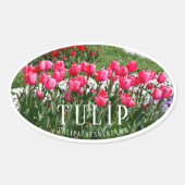 Tulip Ovale Sticker (Voorkant)