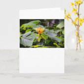 Tulip Poplar Blossom, carte (Fleur jaune)