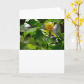 Tulip Poplar Blossom, carte (Fleur jaune)