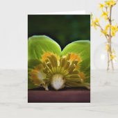 Tulip Poplar Blossom, carte (Fleur jaune)