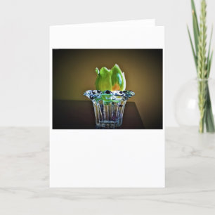 Tulip Poplar Blossom, carte