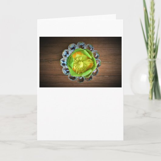 Tulip Poplar Blossom, carte (Devant)