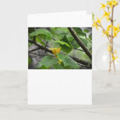 Tulip Poplar Blossom, carte (Fleur jaune)
