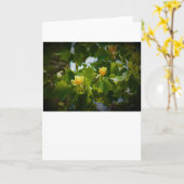 Tulip Poplar Blossom, carte (Fleur jaune)