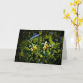 Tulip Poplar Blossom, carte (Fleur jaune)