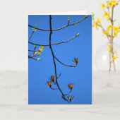 Tulip Poplar, carte (Fleur jaune)