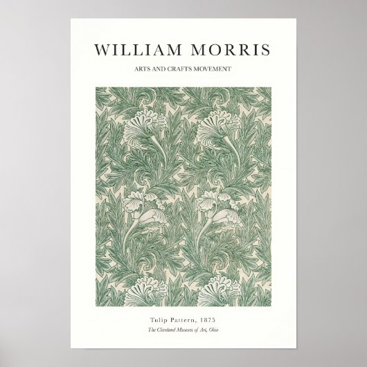 Tulip Poster (Voorkant)