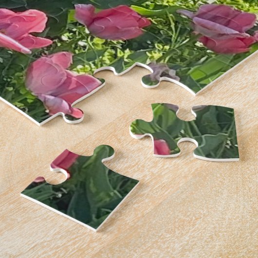 Tulip Puzzle (Côté)