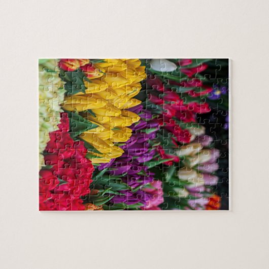 Tulip Puzzle (Horizontal)