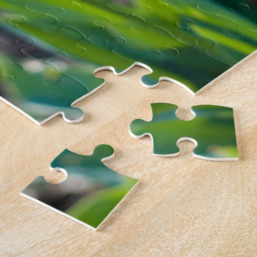 Tulip Puzzle (Côté)