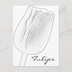 Tulip Sketch Briefkaart