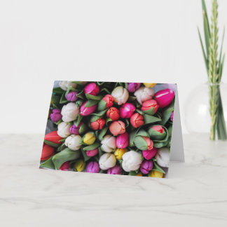 Tulip Spring Greeting Kaart
