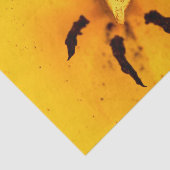 Tulip stamen and pollen tissuepapier (Detail)