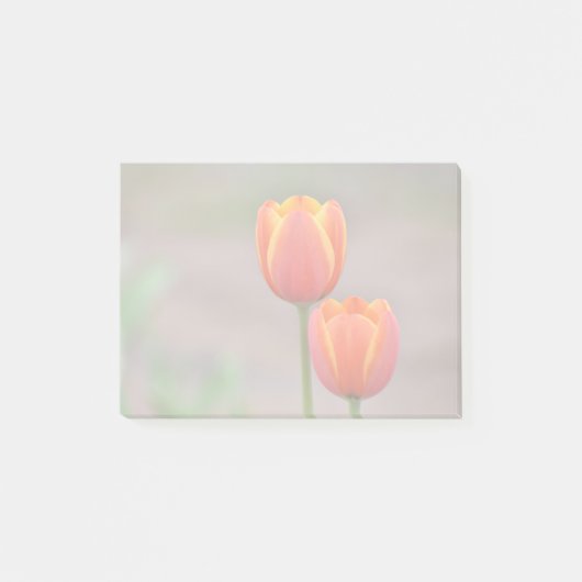 Tulip Sticky Notes (Voorkant)