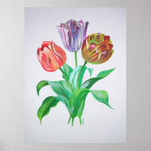 Tulip Trio Colorful Artistic Flowers Poster