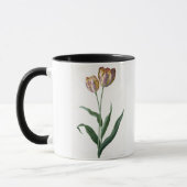 Tulip Tulip Mok (Links)