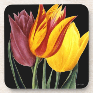 Tulip (Tulipa Gesneriana) Drankjes Onderzetter