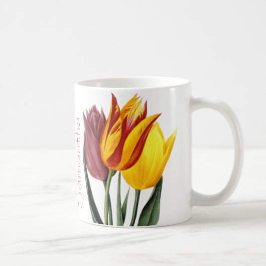 Tulip (Tulipa Gesneriana) Koffiemok (Rechts)