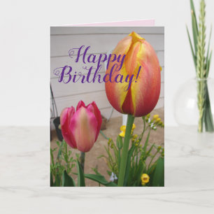 Tulip Tulips Red Pink Flower Florence Birthday Car Kaart