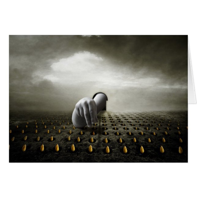 Tulip voleur 2013 (Devant horizontal)