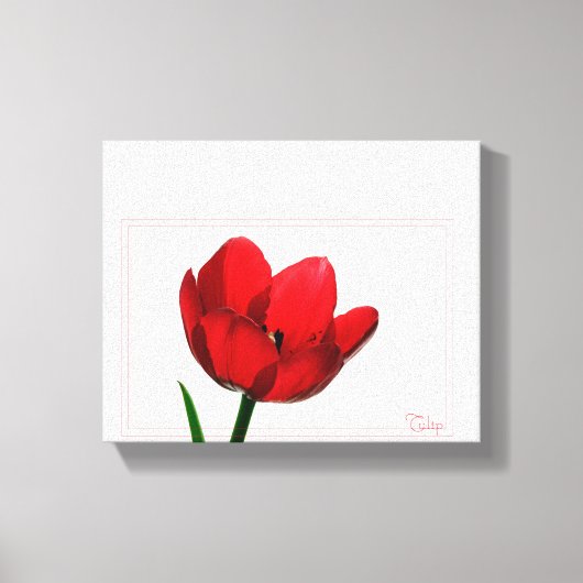Tulip Wrapped Canvas (Voorkant)