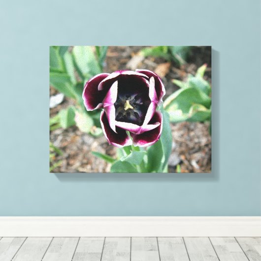 Tulip Wrapped Canvas (Insitu (Houten vloer))
