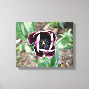 Tulip Wrapped Canvas