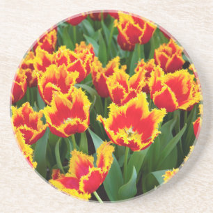 Tulipa Fabio, Keukenhof, Nederland Zandsteen Onderzetter