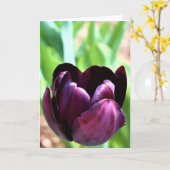 Tulipe, carte (Fleur jaune)