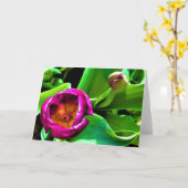 Tulipe, carte (Fleur jaune)