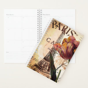 Tulipe de Paris