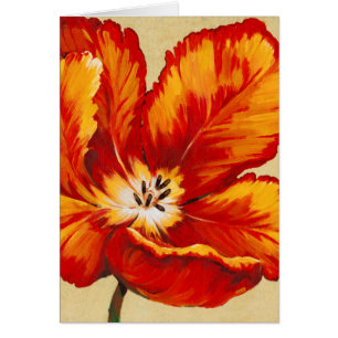 Tulipe de perroquet I