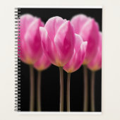 Tulipe élégante et fleurs florales Roses Photograp (Devant)