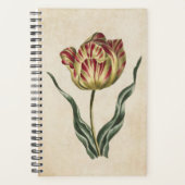 Tulipe florale vintage (Devant)