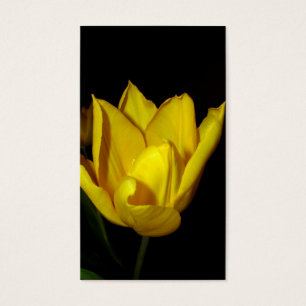 Tulipe jaune