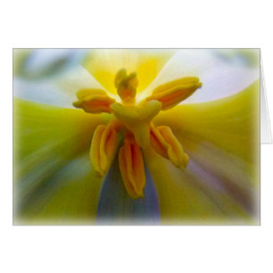 Tulipe jaune