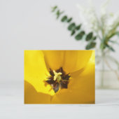Tulipe Jaune Gros do-it-yourself Carte Postale (Debout devant)