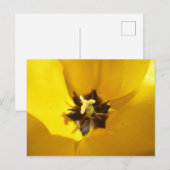 Tulipe Jaune Gros do-it-yourself Carte Postale (Devant / Derrière)
