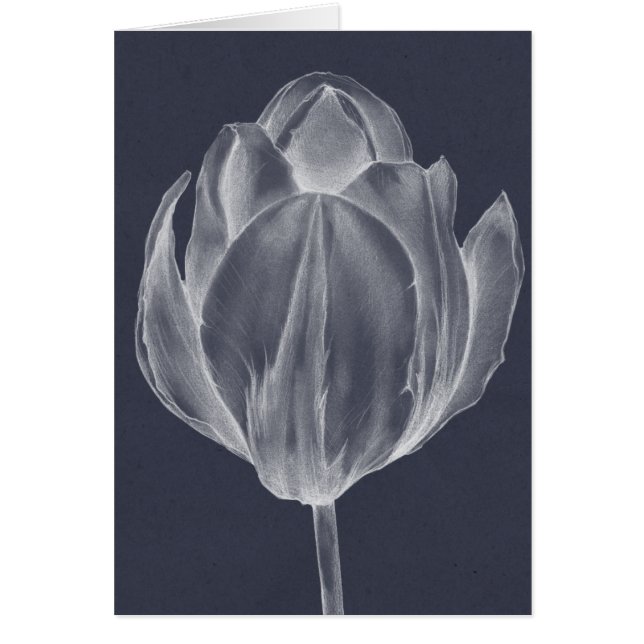 Tulipe monochrome I (Devant)