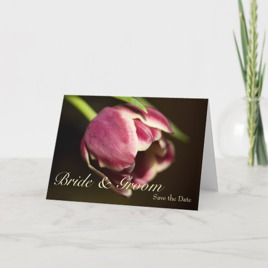 Tulipe pourpre ・ Enregistrer la carte de date (Devant)