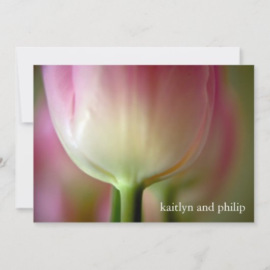 Tulipe rose ・ Faire-part de mariage (Devant)