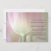 Tulipe rose ・ Faire-part de mariage (Dos)