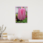 Tulipe rose Tulips Floral Fleur Poster du jardin (Cuisine)